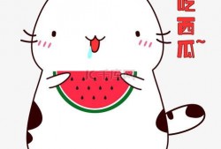 吃瓜表情包图片大全可爱,盘点那些萌化人心的吃瓜表情包