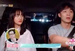 娱乐吃瓜酱大学甜文作品