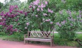 丁香六月激情国产