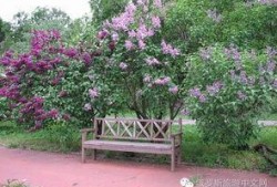 丁香六月激情国产