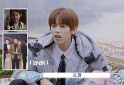 娱乐圈吃瓜关注谁,揭秘热门话题人物盘点